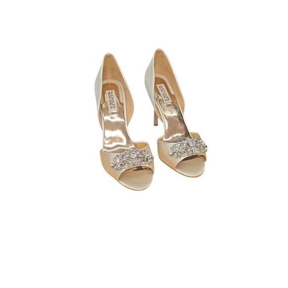 Badgley Mischka Shoes - badgley mischka Gianna Embellished Pumps Women's Size 9.5 Ivory Wedding Prom 4in